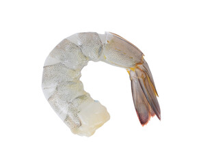 Raw sea shrimp,Fresh prawn,png