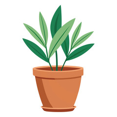 Fototapeta premium A potted plant with long green leaves on a white background