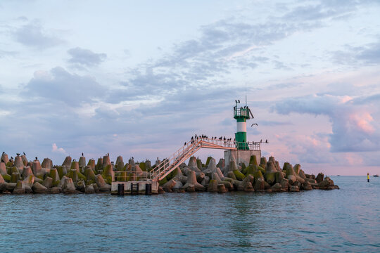 Lighthouse on breakwater with birds at sunset