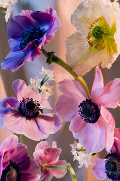 Still Life with Flowers