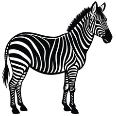 "Vector Illustration of a Zebra with Black and White Stripes"