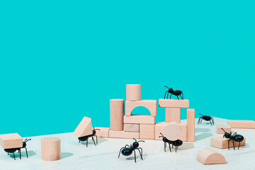 ants carrying building blocks