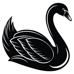 Obraz premium Elegant Black Swan Silhouette