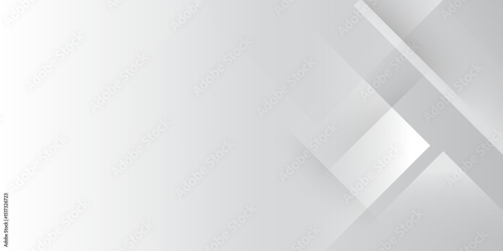 Leinwandbilder elegant abstract background with grey lines with shadow. modern abstract gray line light dynamic sha