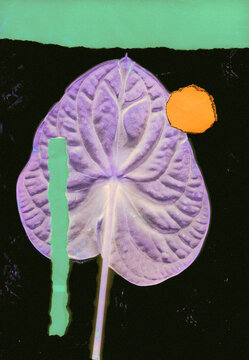 Purple leaf with bright orange circle on black background