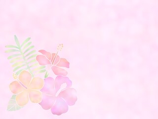 ハイビスカスの背景　h-3