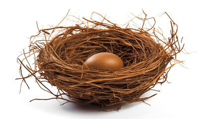 A single brown egg nestled inside a bird's nest 