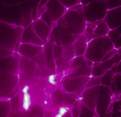 Purple water texture 