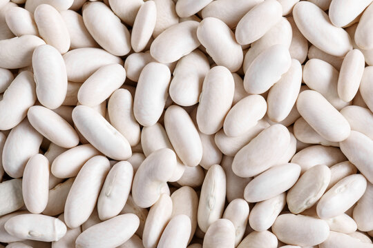 Whole organic navy beans background