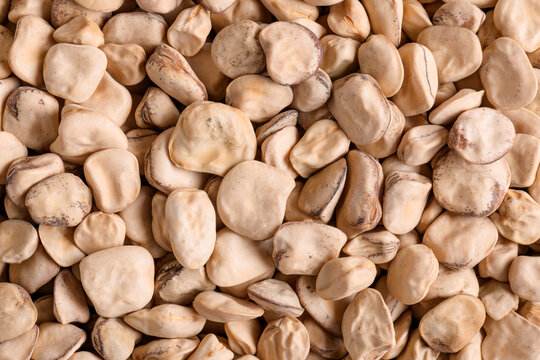 Whole organic grass pea, legume background