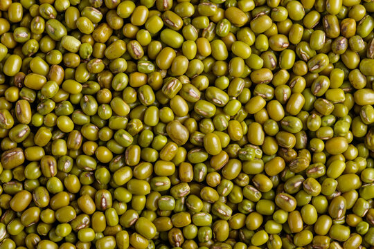 Whole mung beans background