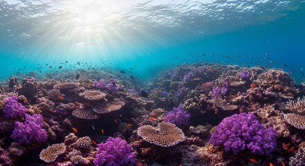 Fototapeta premium 輝くサンゴ礁 色鮮やか 熱帯魚群泳ぐ 海中風景