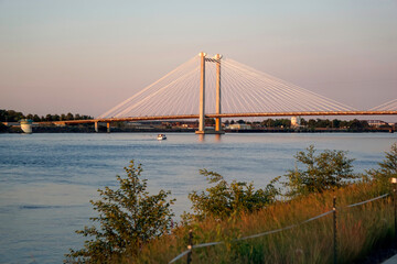 Cable-stayed bridge over Columbia River at dusk