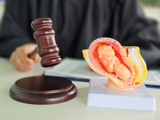 Legal proceedings involving reproductive rights with a gavel and a anatomical model of a fetus