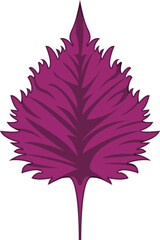 リアルな影付き紫蘇のベクターイラスト