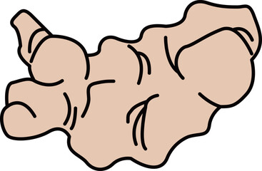 色付きの丸ごとショウガのイラスト