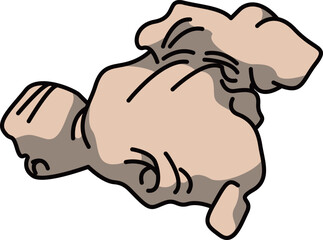 色付きの丸ごとショウガのイラスト