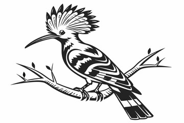 hoopoe sihouette black vector