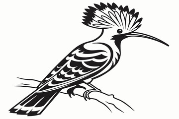 hoopoe sihouette black vector