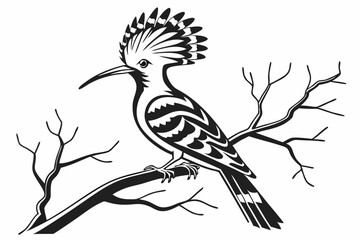 hoopoe sihouette black vector