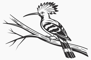 hoopoe sihouette black vector