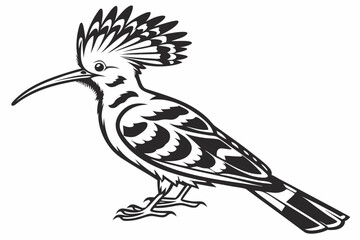 hoopoe sihouette black vector