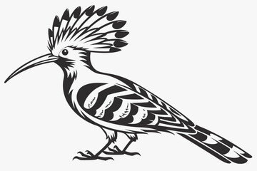 hoopoe sihouette black vector