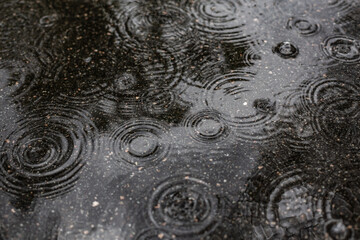 Raindrops create ripples on a glossy pavement surface