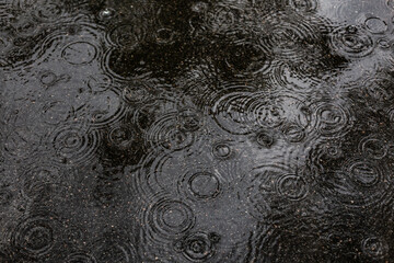 Raindrops create ripples on a glossy pavement surface