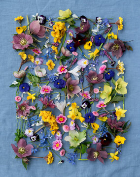 Spring flowers on blue linen
