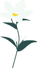 Handdrawn Jasmine Flower Decoration