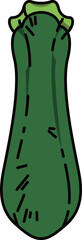 色付きの丸ごとズッキーニのイラスト
