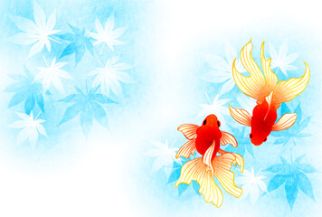 暑中見舞いはがき、紅葉と琉金、かわいい、イラスト、横