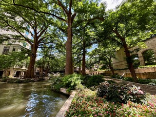 River in the city park in San Antonio, Texas