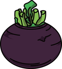 色付きの丸ごとかぶのイラスト