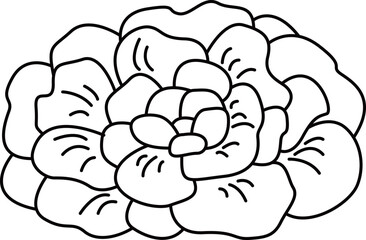 シンプルですっきりしたタアサイの線画