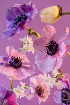 Still Life with Flowers