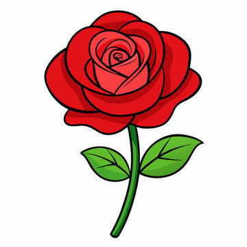 Hand drawn red rose illustration for design projects
