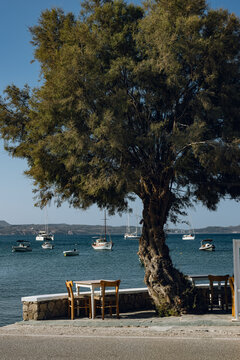 Coastal dining spot in Milos during a summer day