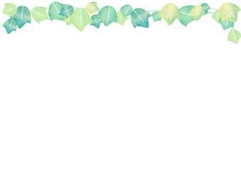 水彩　葉　緑　イラスト　フレーム