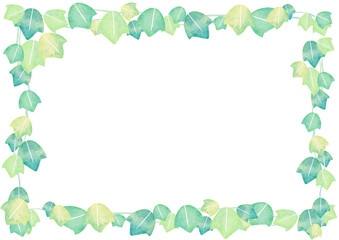 水彩　葉　緑　イラスト　フレーム