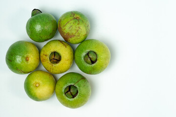Fototapeta premium Fruta de arrayán madura (Psidium sartorianum), originaria de El Salvador, fotografiada sobre fondo neutro. Fruto tropical de color verde a amarillo, utilizado tradicionalmente en refrescos naturales.