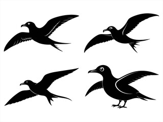petrel sihouette black vector bundle
