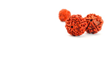 Fototapeta premium Sacred Five Faced Rudraksha Beads Close Up Macro Image isolated on white background. Tears of Shiva, a Mystical Symbol of Spirituality and Enlightenment