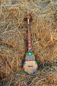 A drangyen, a bhutanese string instrument