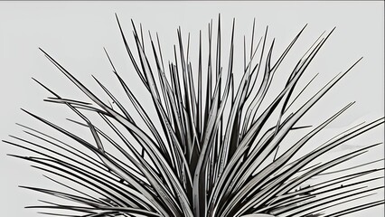 Obraz premium Dramatic low angle captures snow-laden tree branches against a bright, overcast winter sky.