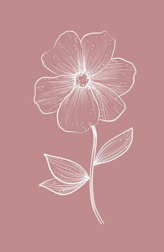 Sketch of a flower in white lines