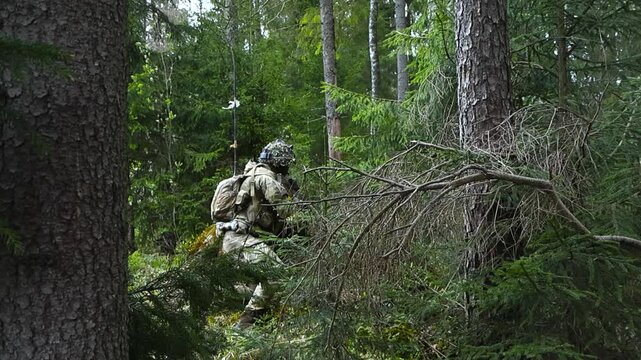 Rare video footage of a British camouflaged soldier taking cover behind some trees and branches in a dense and thick vibrant green pine forest during battle with his loaded automatic rifle weapon.