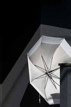 White Umbrella Still Life