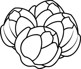 brussels sprouts vegetable outline coloring book page line art vector illustration